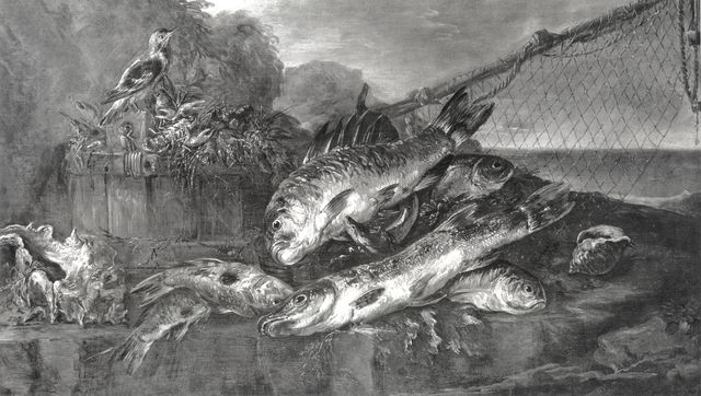 Foto Wells — Boselli Felice - sec. XVII/ XVIII - Natura morta con pesci, crostacei e conchiglie — insieme